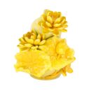 Hồ Lô Bát Tràng Đắp Nổi Hoa Sen Men Bóng Đặc Biệt – TV-BD125MR07-38